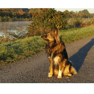 Profilbild von Helen Schäfer