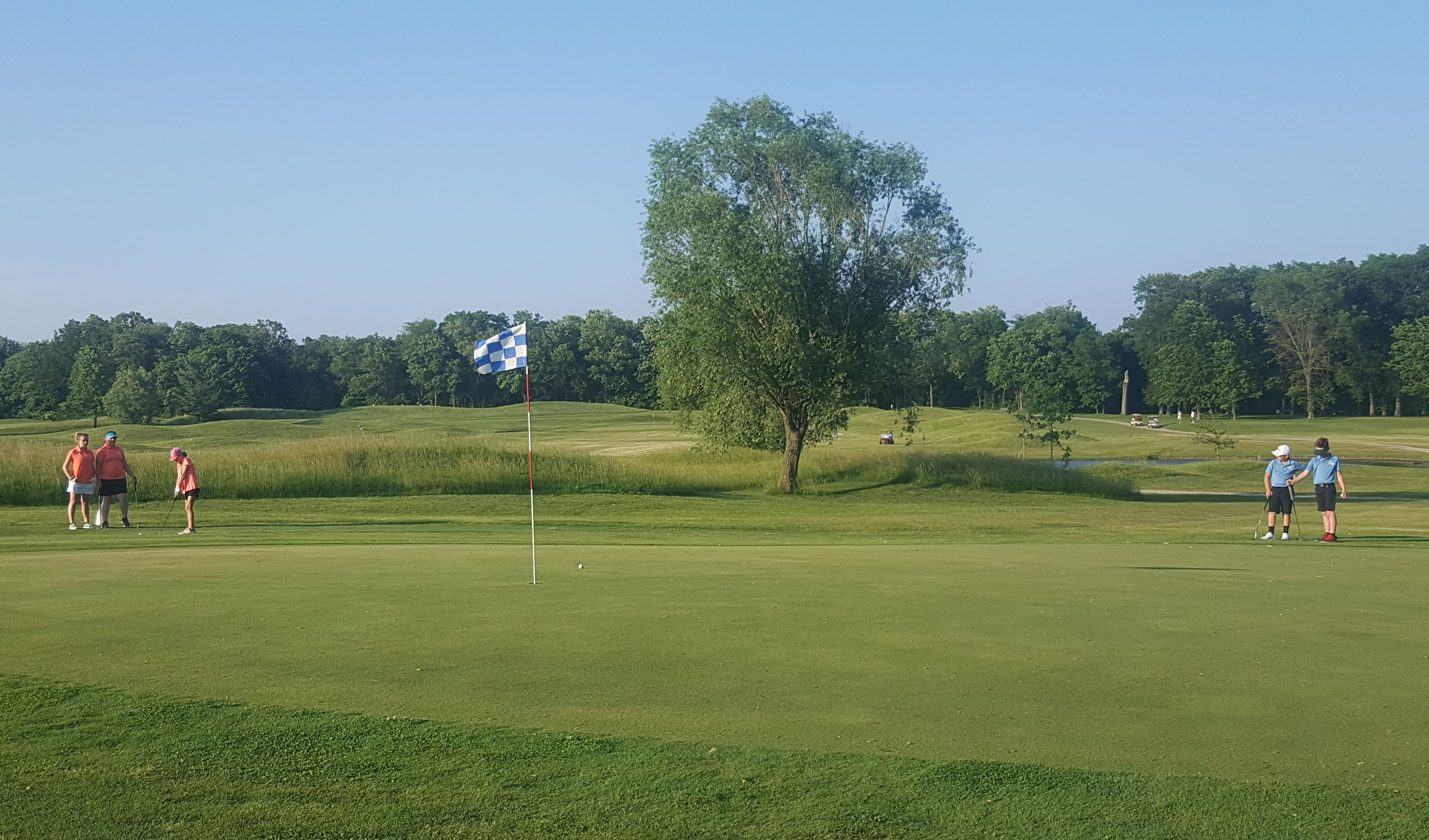 Michael L. Suhre, PGA Golf Lessons Edwardsville, IL