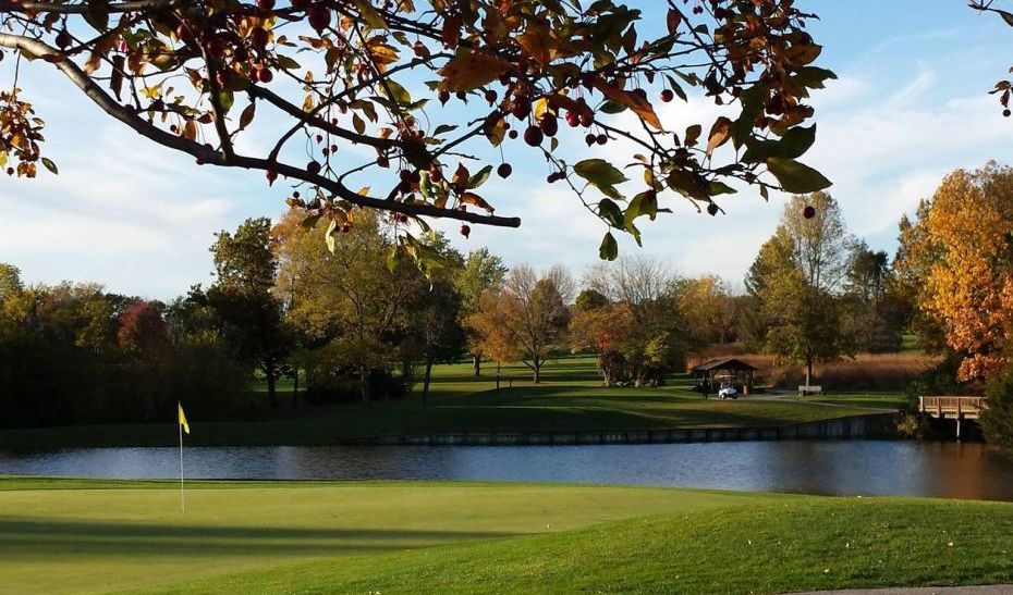 David E. Crawley, PGA Golf Lessons Braselton, GA