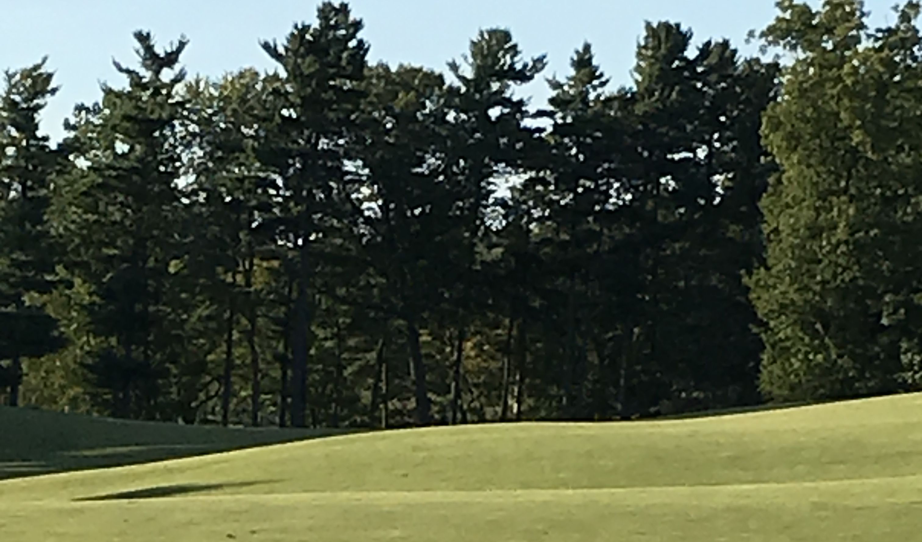 Scott C. Steuernagel Golf Lessons Danbury (Voyager Village Golf