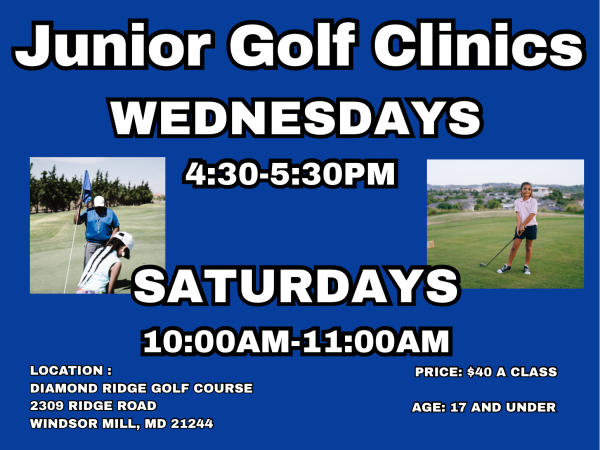 Junior Golf Clinics ( 1 Hour)