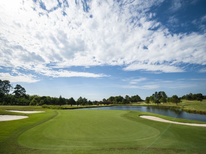 Women's Adult Golf Clinic (Full Swing and Putting)
