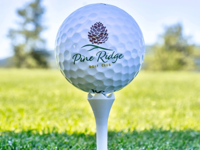 Supervised Practice for Elementary Juniors