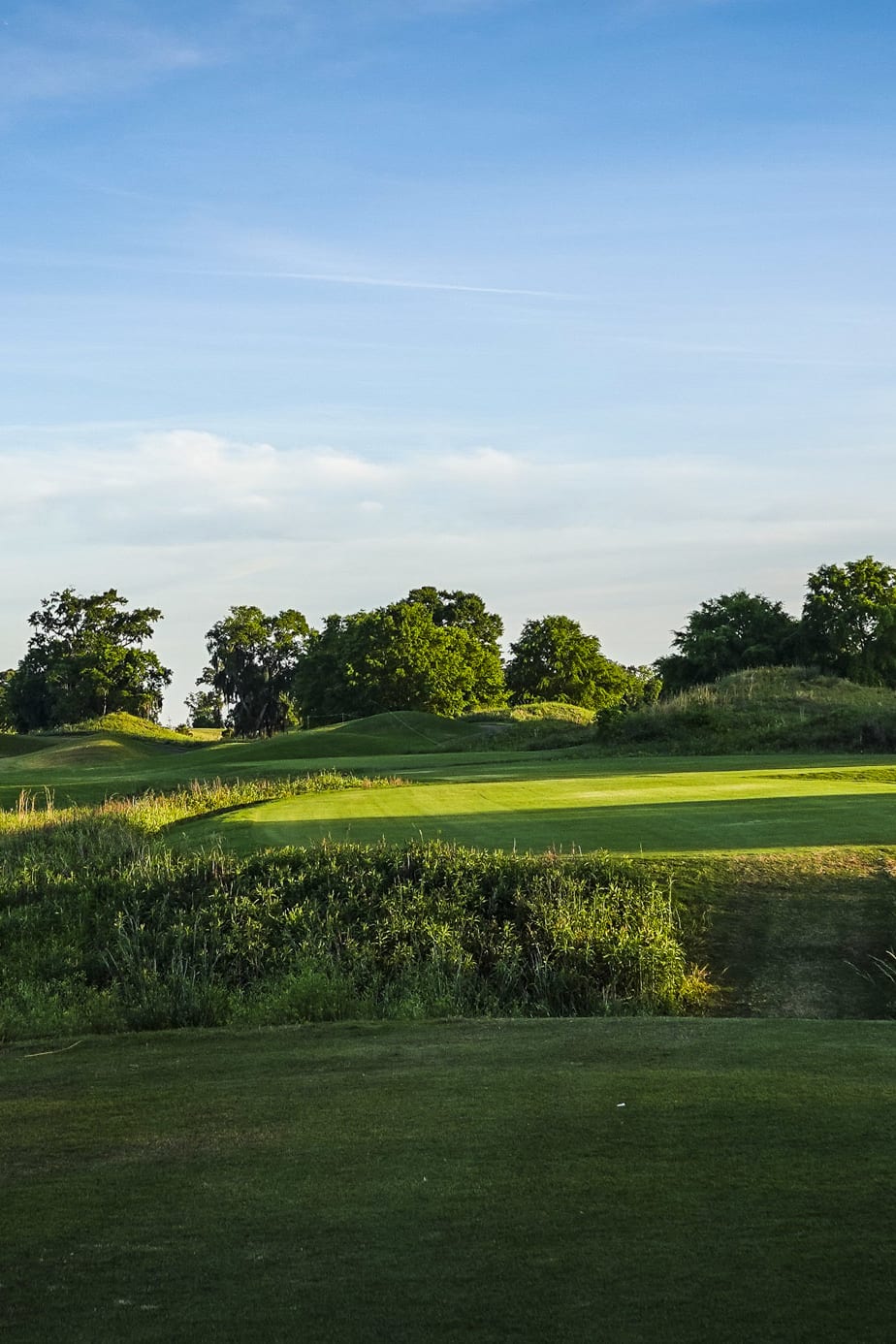 The Senator Course