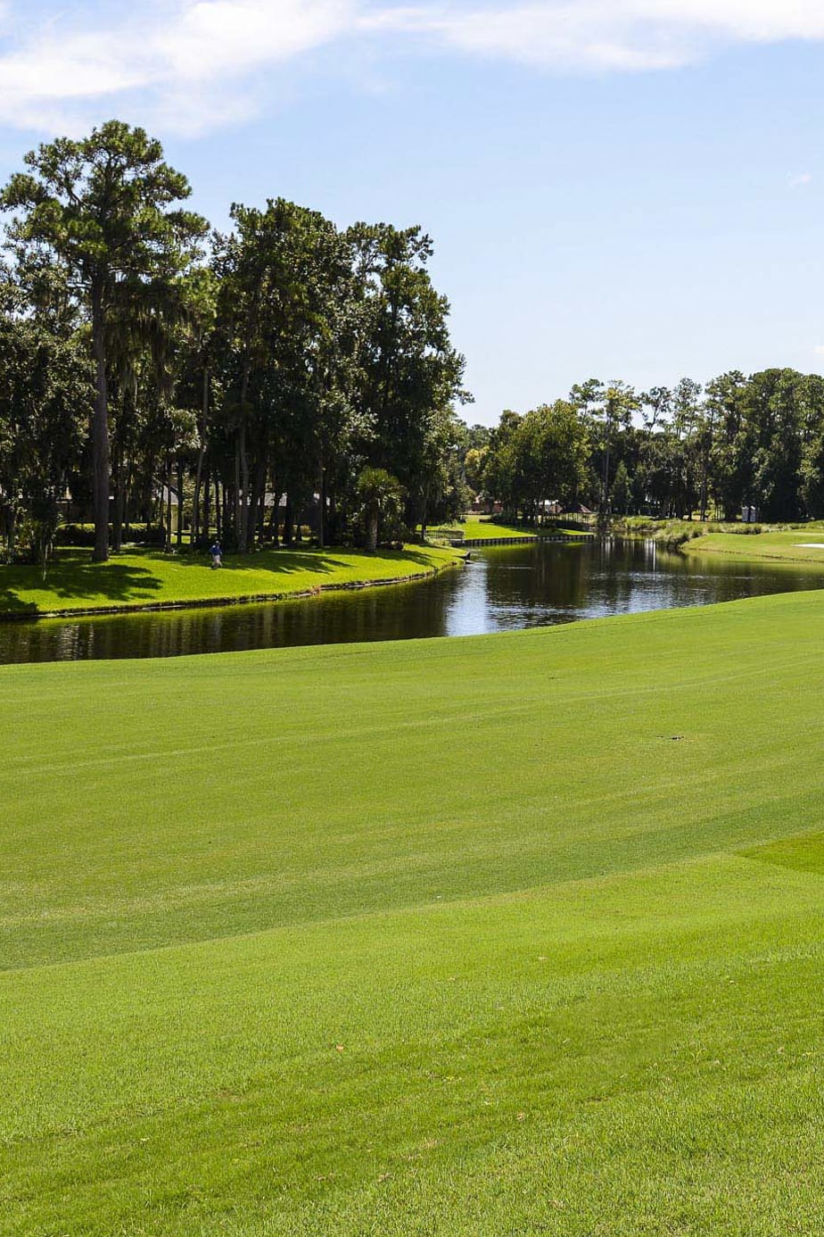 TPC Sawgrass - Dye's Valley