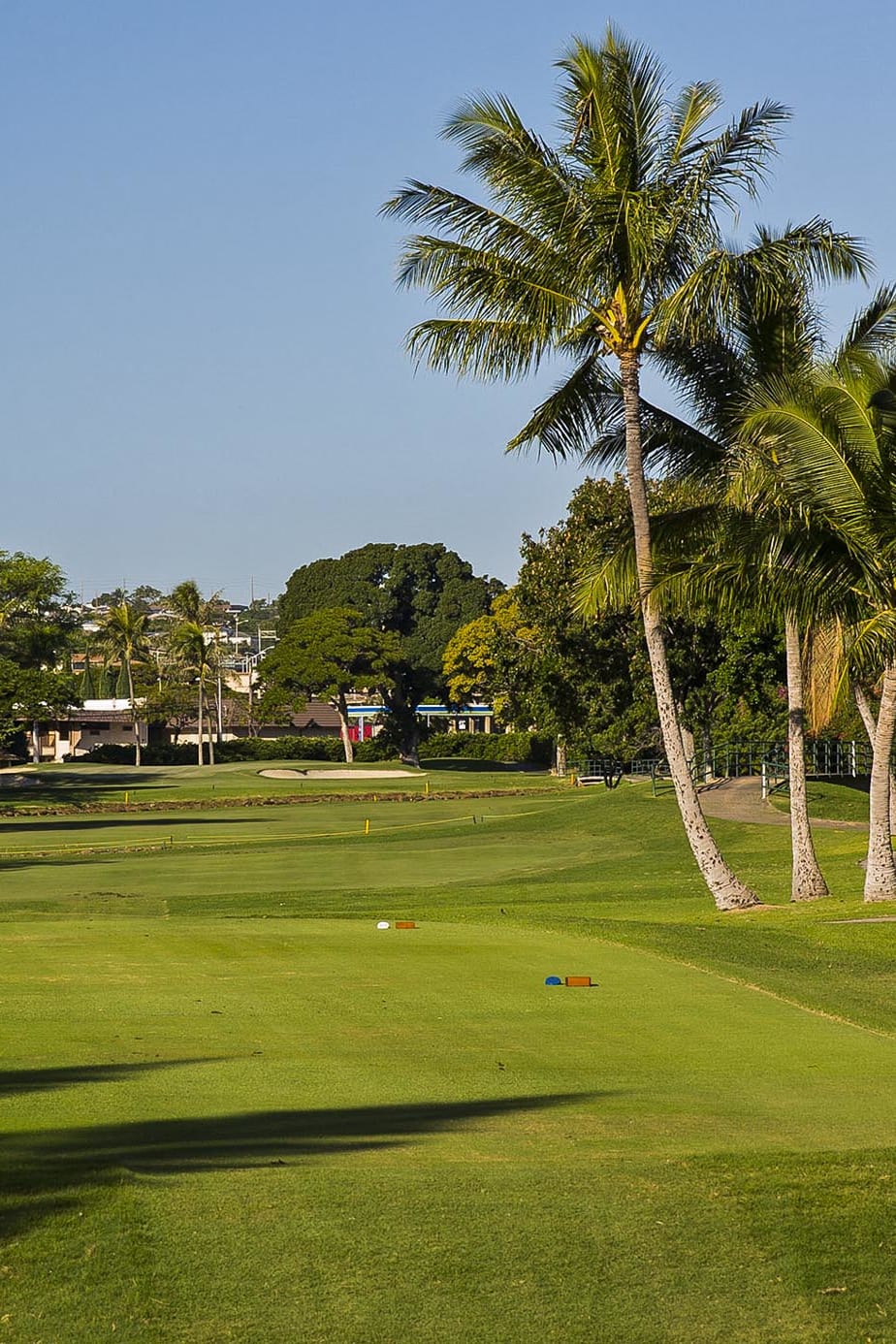 Sony Open in Hawaii 2026 Golf Leaderboard - PGA TOUR - Course Stats