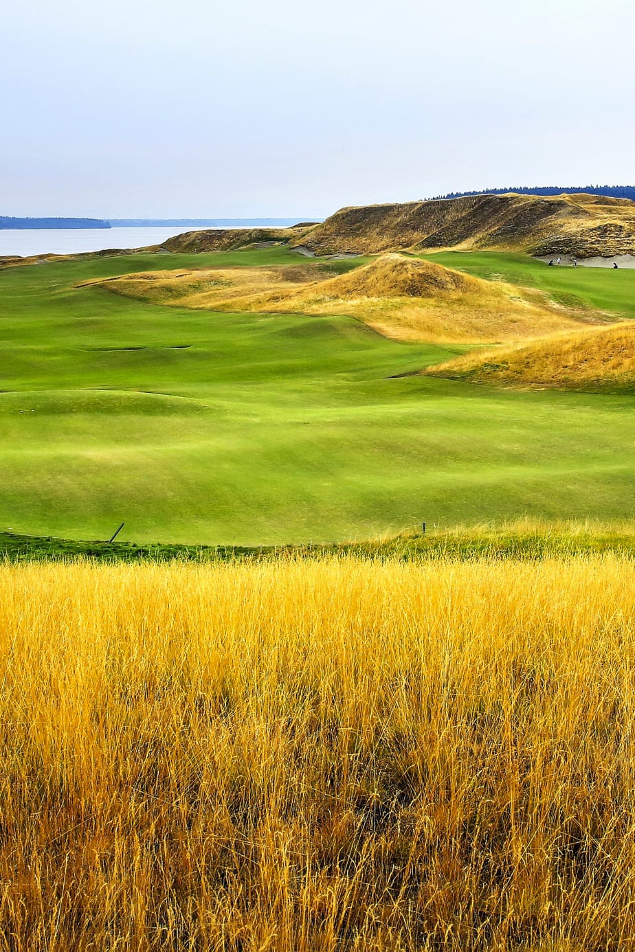 Chambers Bay GC