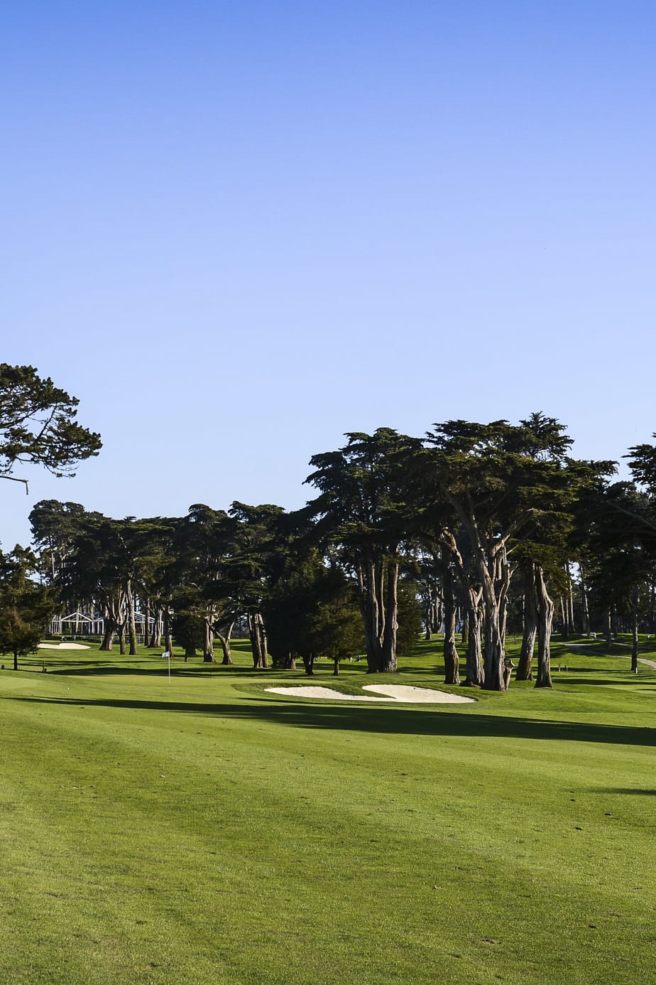 Hole 1 at TPC Harding Park