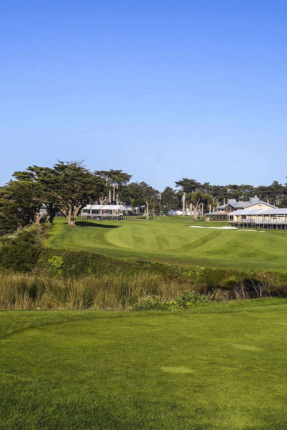 TPC Harding Park