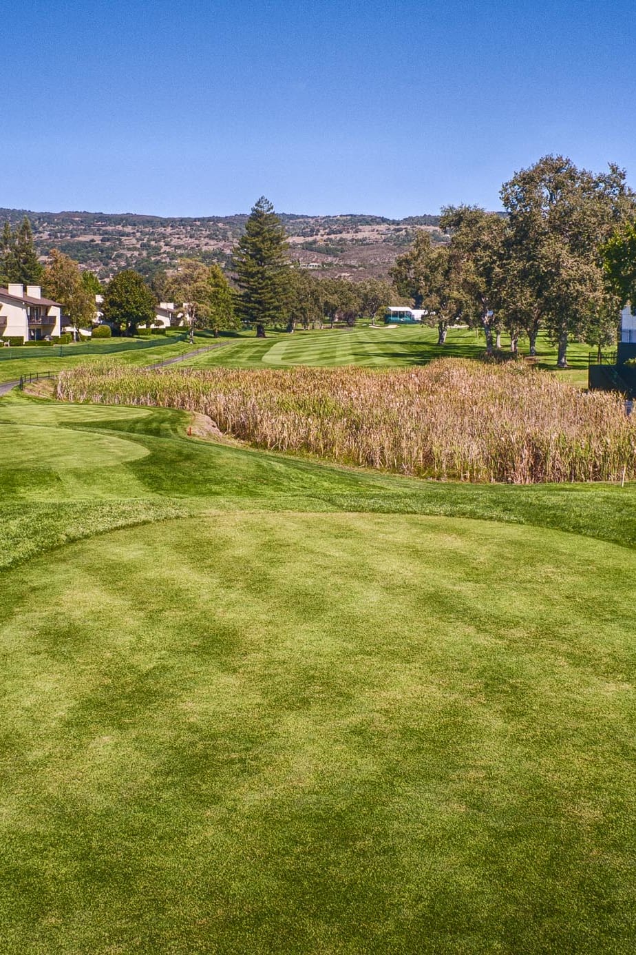 Hole 1 at Silverado Resort (North Course)