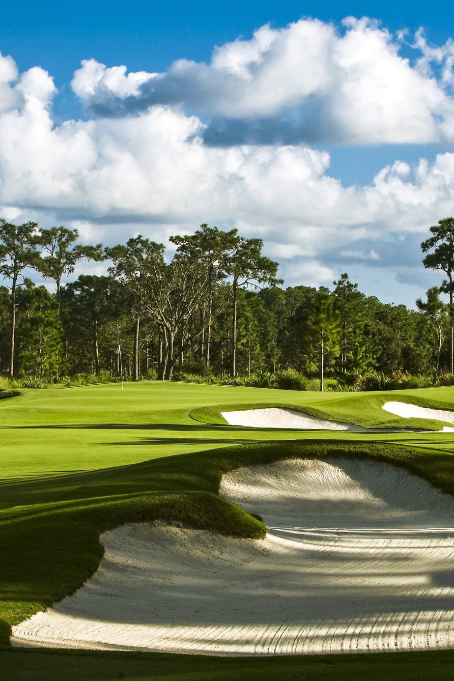 Hole 1 at The Concession Golf Club