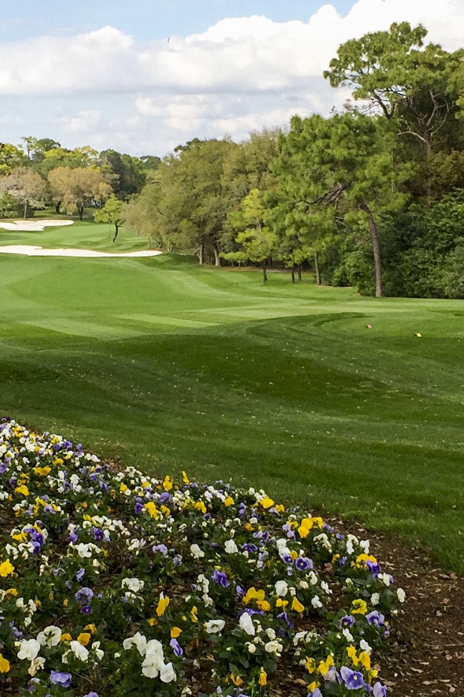 Hole 1 at Innisbrook Resort (Copperhead Course)