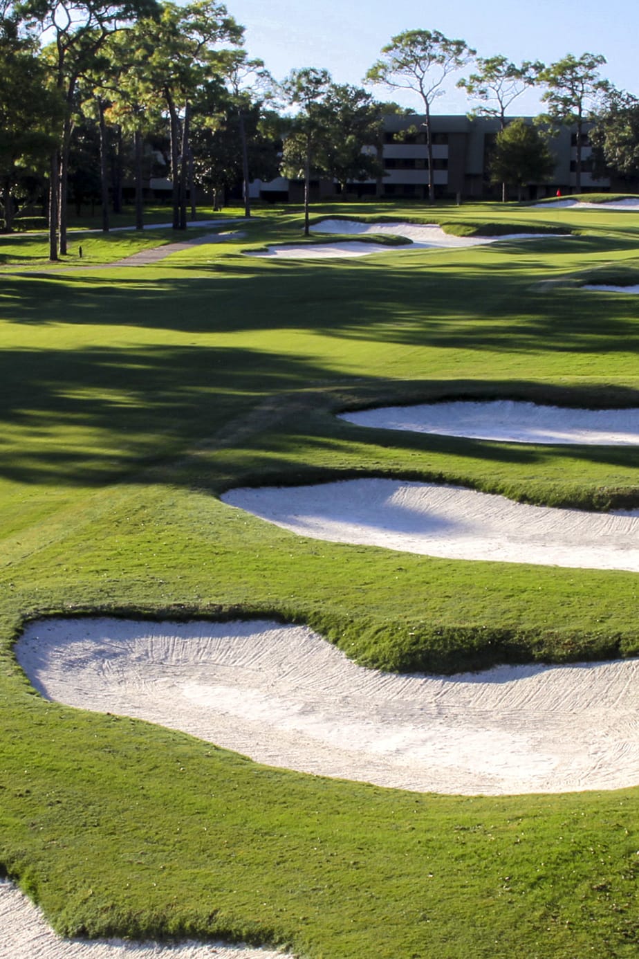 Grant Thornton Invitational Golf Tournament Unveils Three Distinct Formats  for Mixed-Team Play, LPGA