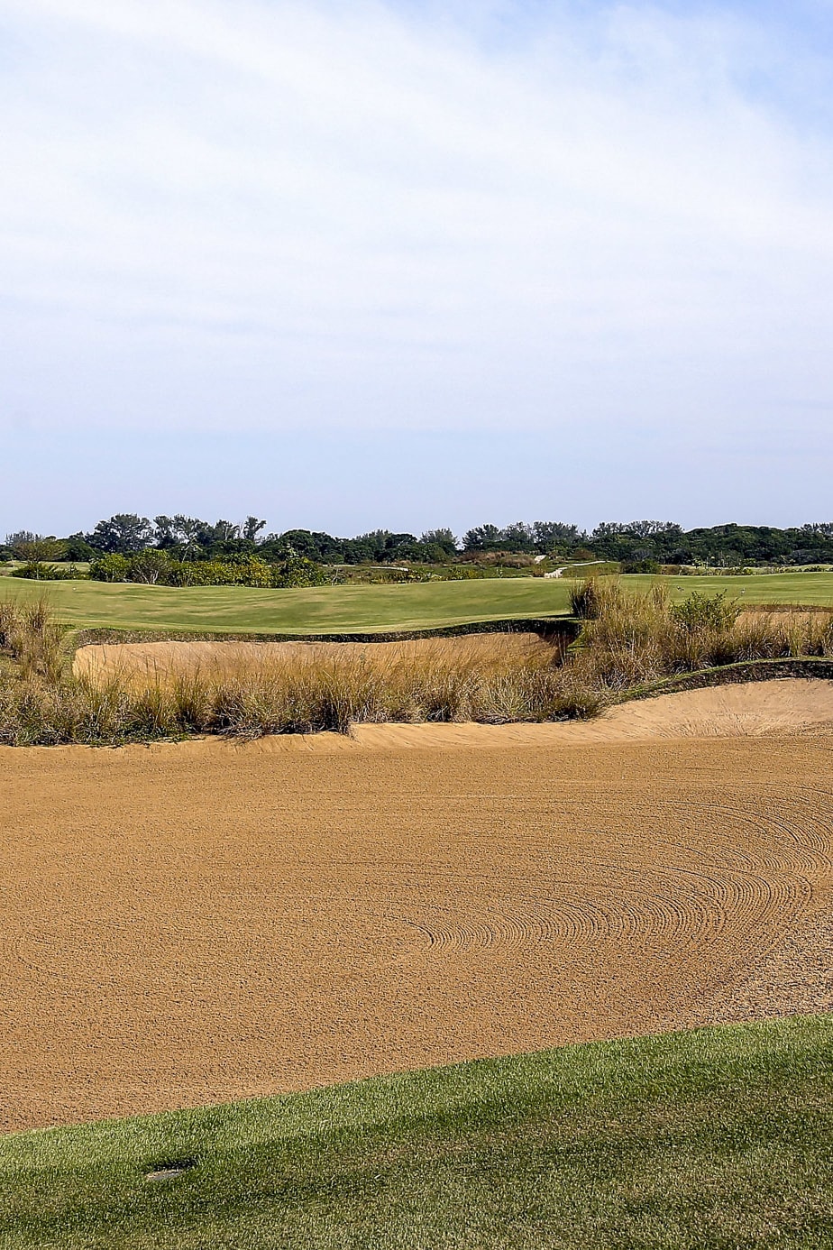 Hole 1 at Olympic Golf Course