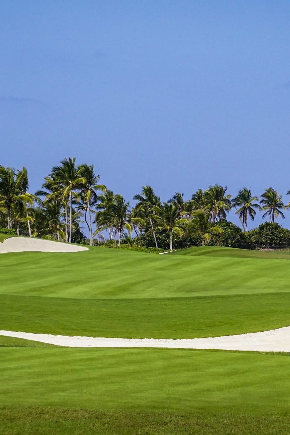 Hole 1 at Puntacana Resort & Club (Corales Golf Course)
