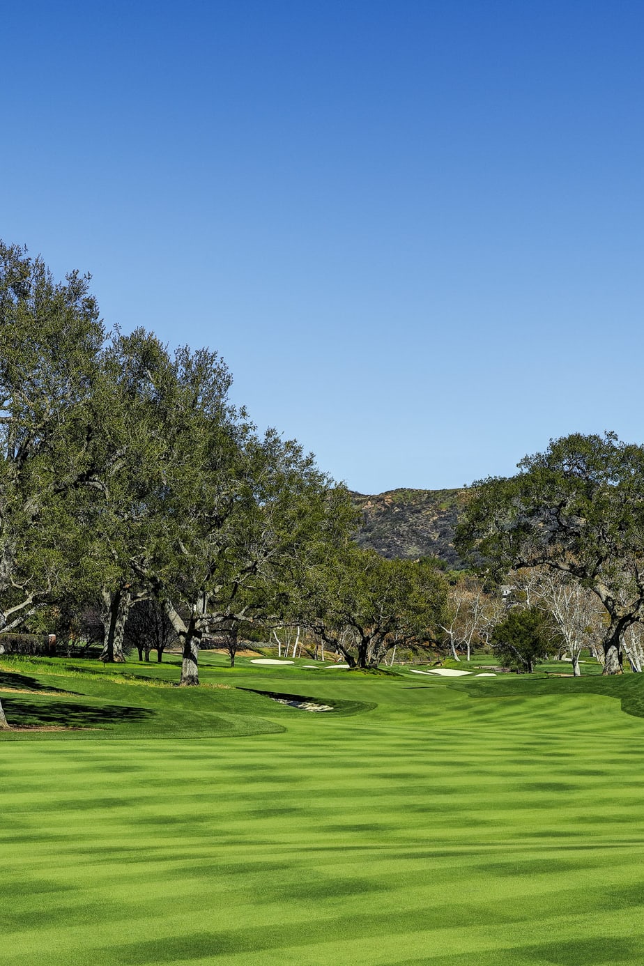 Hole 1 at Sherwood Country Club