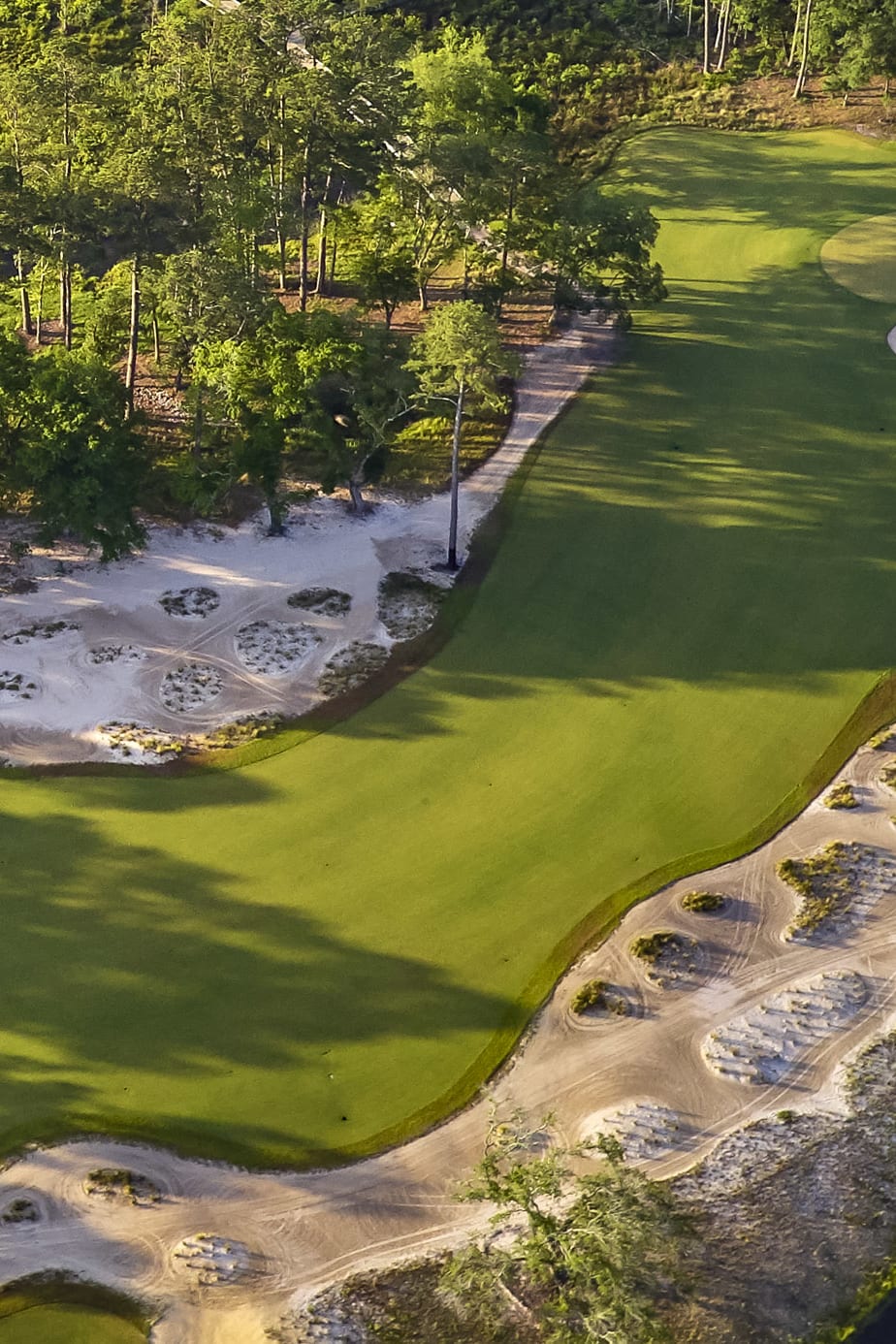Hole 1 at Congaree Golf Club