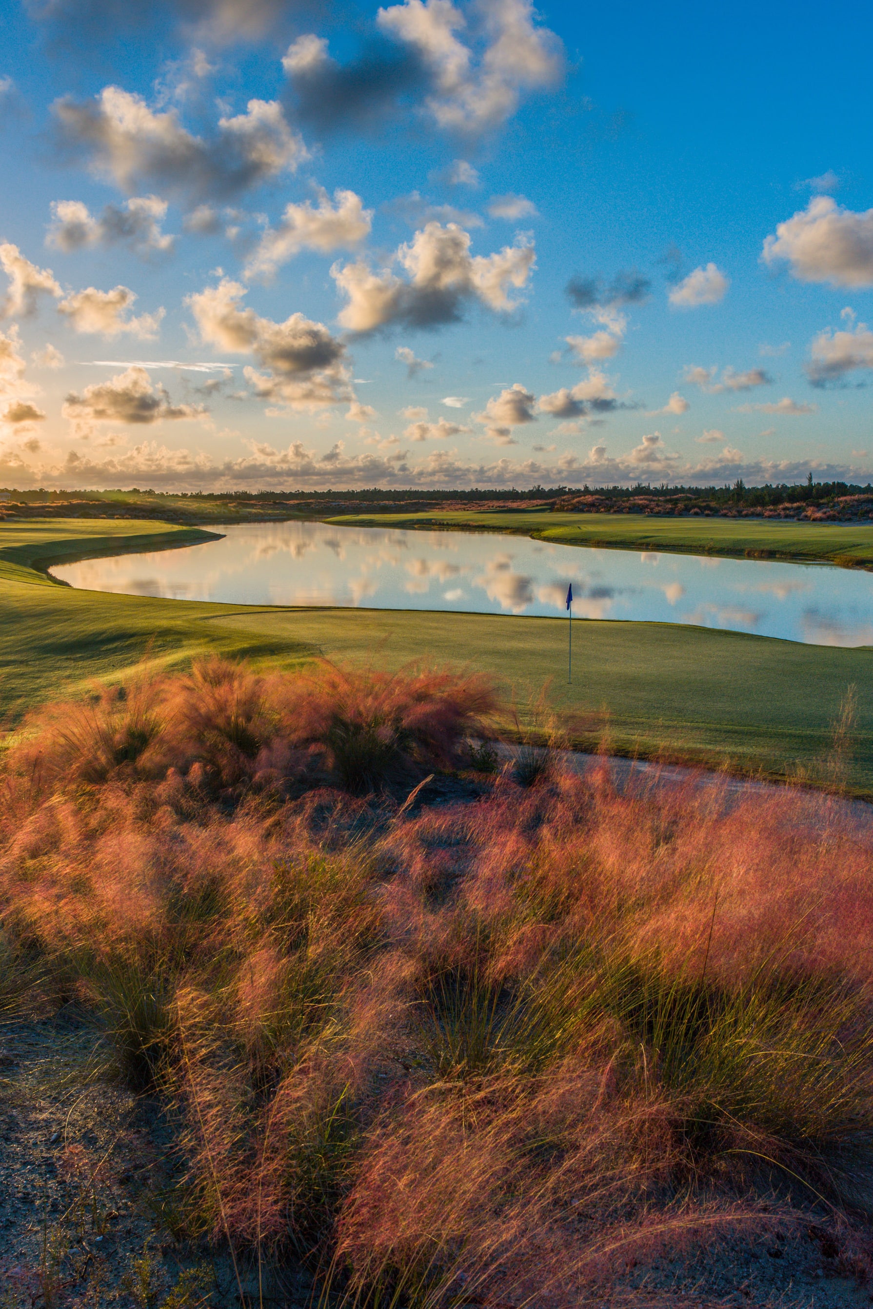 Albany GC
