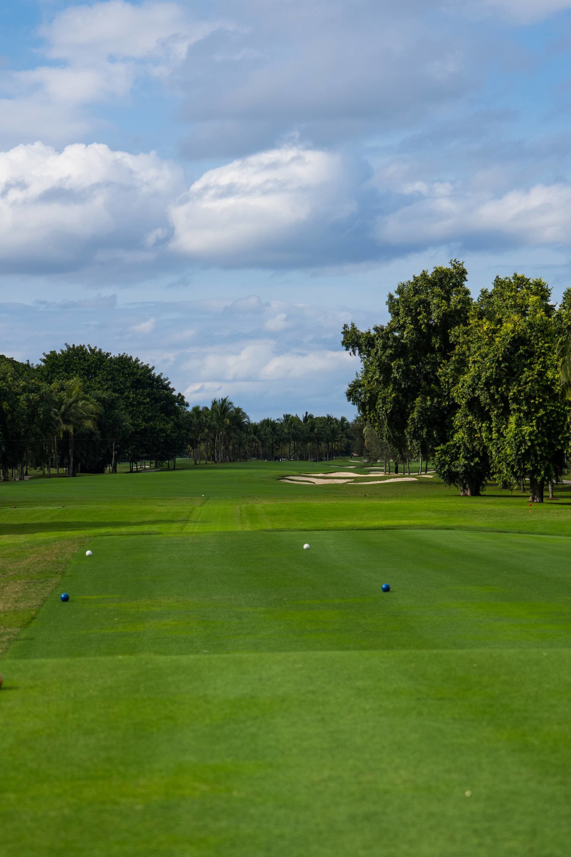 Hole 1 at Trump National Doral - Blue Monster Course