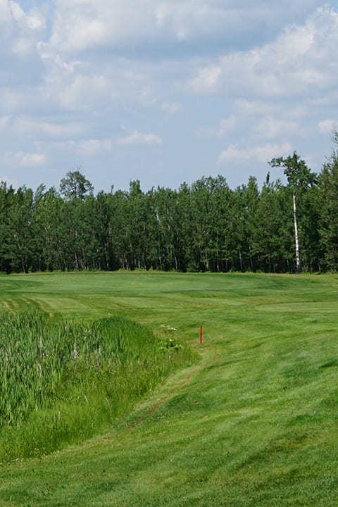 Northern Bear Golf Club
