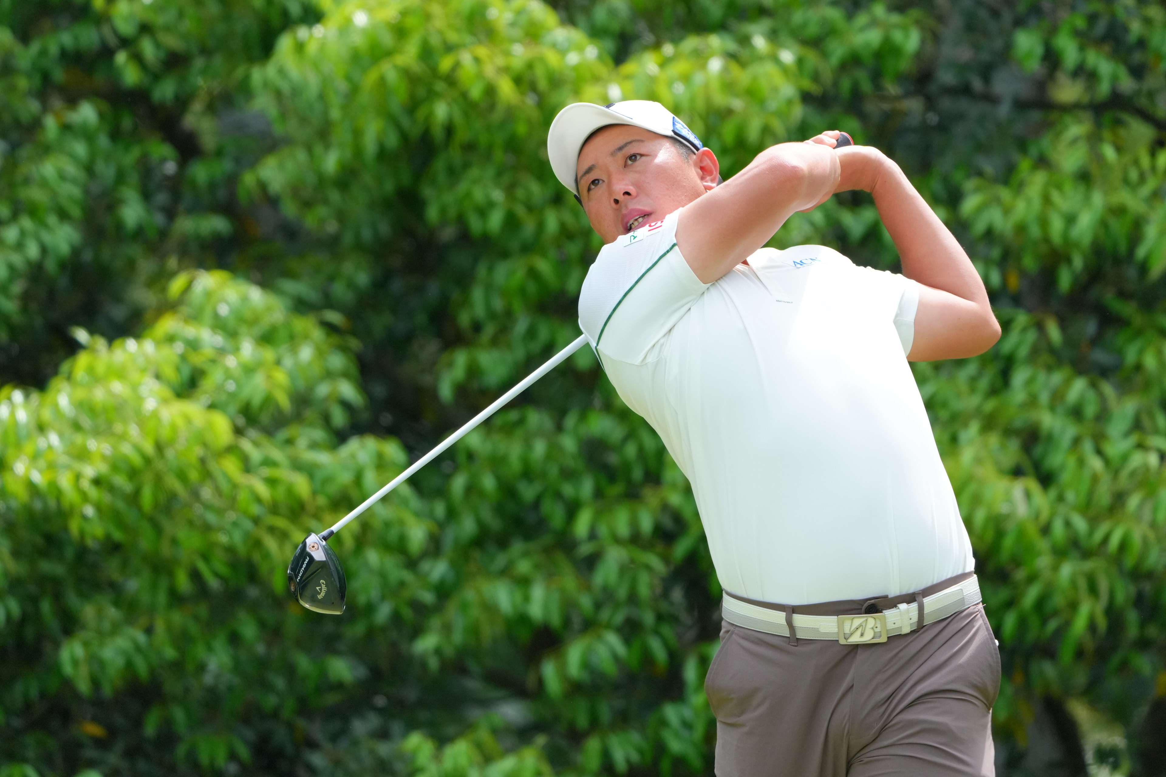 Mikumu Horikawa betting profile: Baycurrent Classic