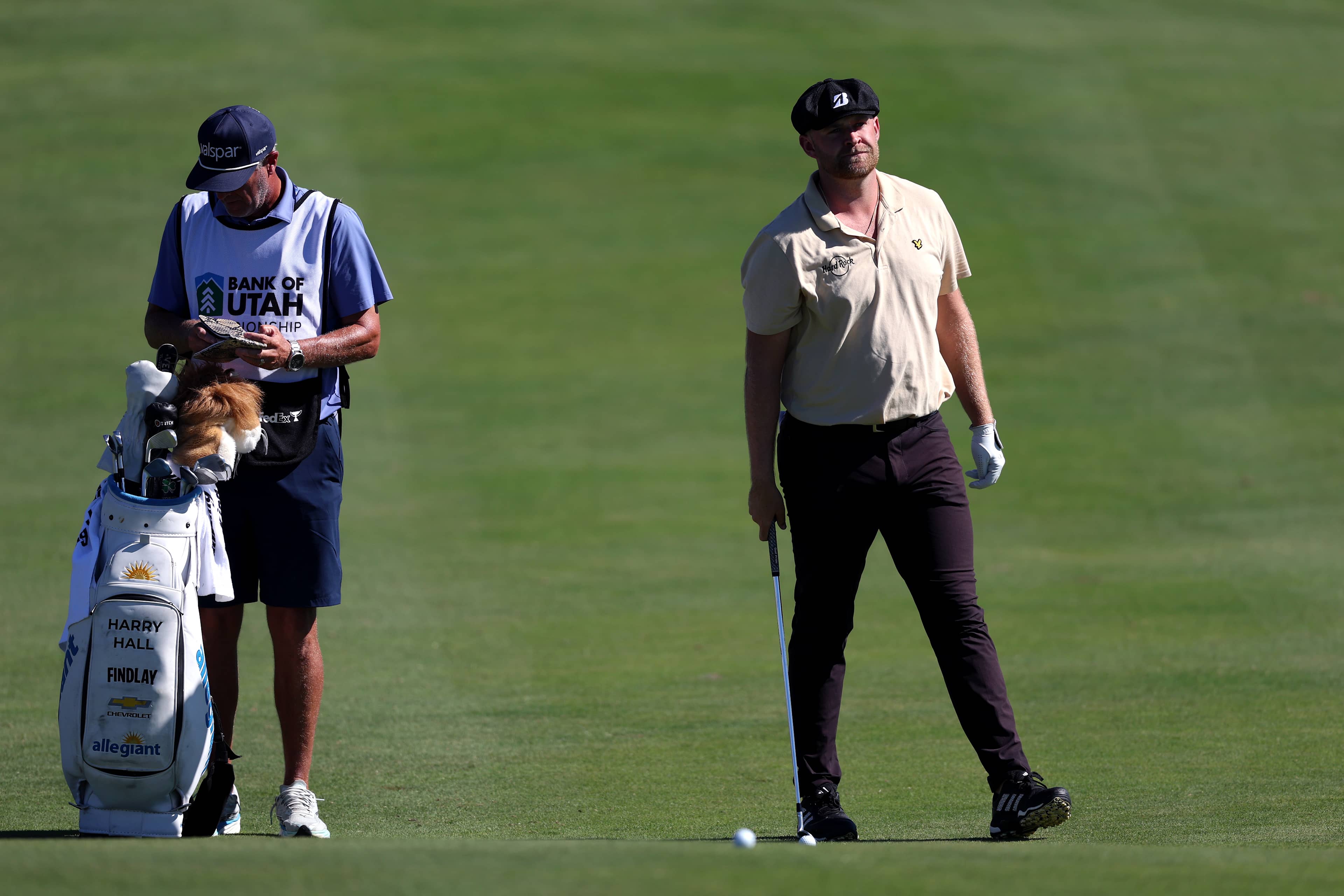 Harry Hall betting profile: VidantaWorld Mexico Open