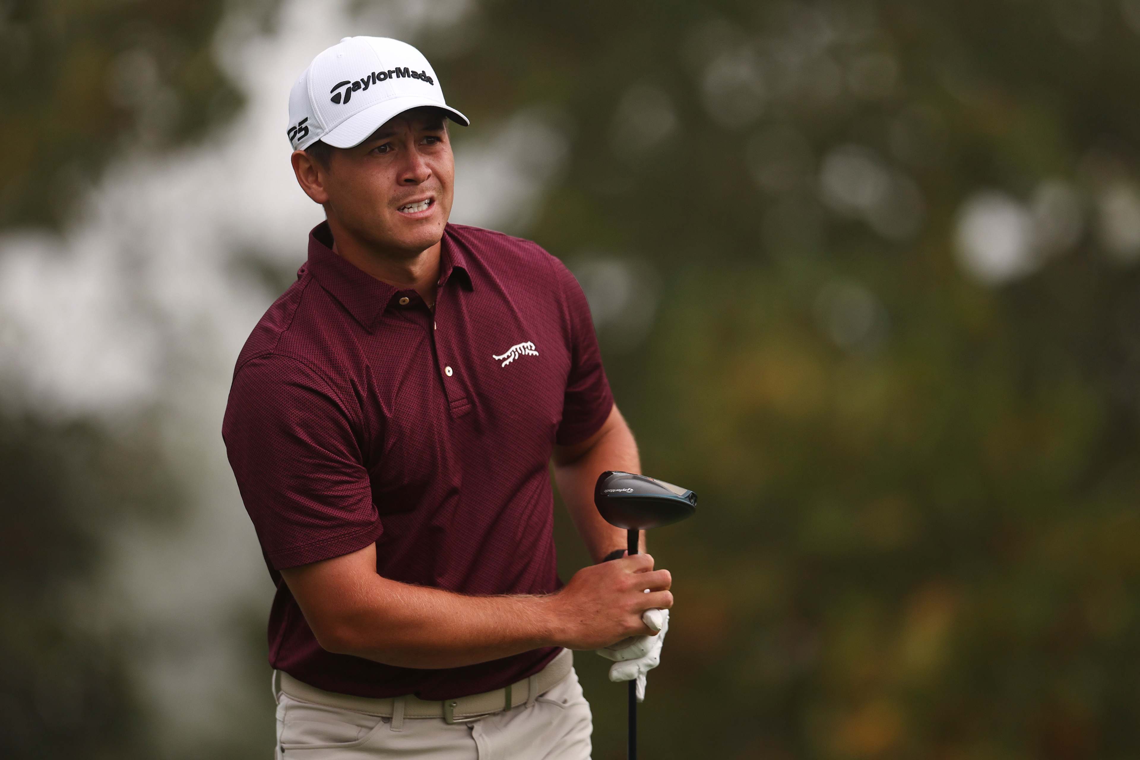 Karl Vilips betting profile: VidantaWorld Mexico Open
