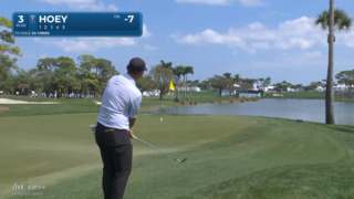 Rico Hoey chips in from 24 yards for eagle at Cognizant Classic