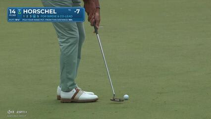 Billy Horschel | Round 4 | 14th hole | Shot 4 | 2025 Valspar