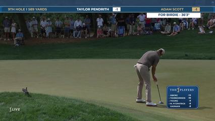 Adam Scott | Round 4 | 9th hole | Shot 5 | 2026 THE PLAYERS
