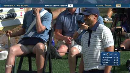 Ludvig Aberg | Round 4 | 13th hole | Shot 2 | 2026 THE PLAYERS