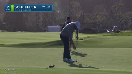 Scottie Scheffler | Round 1 | 7th hole | Shot 4 | 2026 The Genesis