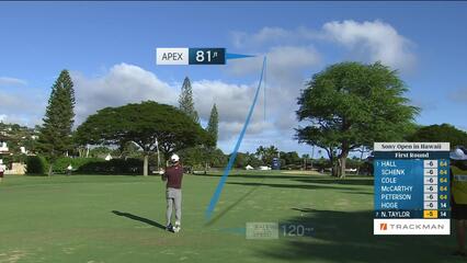 Nick Taylor | Round 1 | 15th hole | Shot 2 | 2025 Sony Open