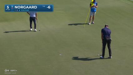 Niklas Norgaard | Round 3 | 5th hole | Shot 4 | 2025 Cognizant Classic