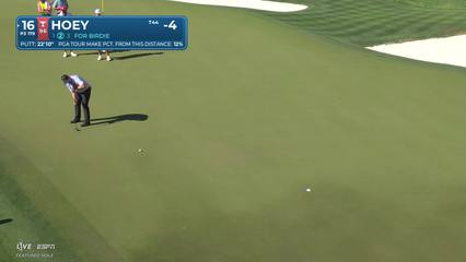 Rico Hoey | Round 4 | 16th hole | Shot 3 | 2026 WM Phoenix Open
