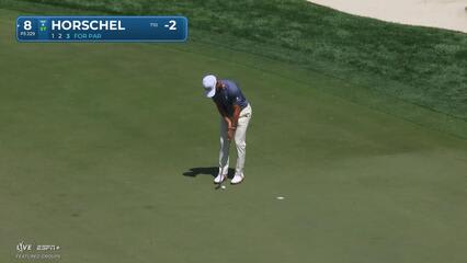 Billy Horschel | Round 1 | 8th hole | Shot 3 | 2025 Valspar