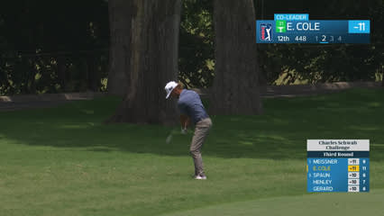 Eric Cole | Round 3 | 12th hole | Shot 2 | 2026 Charles Schwab