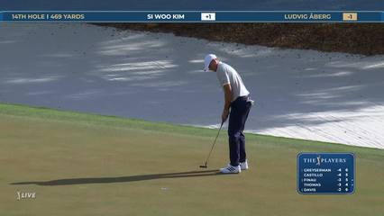 Ludvig Aberg | Round 1 | 14th hole | Shot 4 | 2026 THE PLAYERS