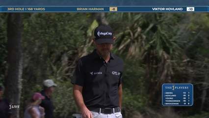 Brian Harman | Round 4 | 3rd hole | Shot 3 | 2026 THE PLAYERS