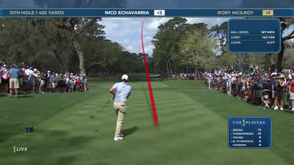 Rory McIlroy | Round 4 | 15th hole | Shot 1 | 2026 THE PLAYERS