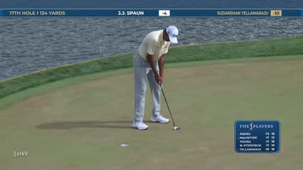 Sudarshan Yellamaraju | Round 4 | 17th hole | Shot 3 | 2026 THE PLAYERS