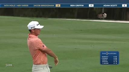 Jacob Bridgeman | Round 1 | 14th hole | Shot 2 | 2026 THE PLAYERS