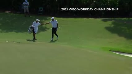 Every televised hole-out of Scottie Scheffler's PGA TOUR career 