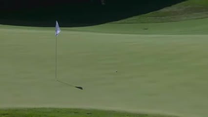 Matthew Pavon's 212-yard eagle hole-out is the Shot of the Day