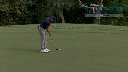 Robby Shelton rolls in birdie putt at Butterfield Bermuda
