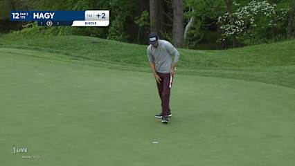 Brandon Hagy's tee shot at flagstick and birdie at Wells Fargo