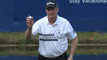 Woody Austin, Mark Mulder is victorious at Diamond Resorts