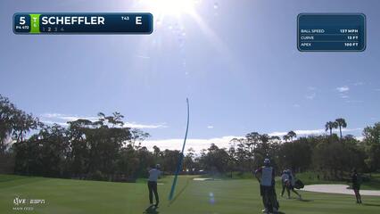 Scottie Scheffler hits 197-yard approach to 9 feet, sets up birdie on No. 5 at THE PLAYERS
