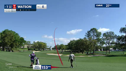 Bubba Watson's impressive second leads to eagle at Valspar