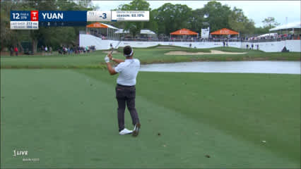 Carl Yuan throws a dart to set up birdie at Valspar